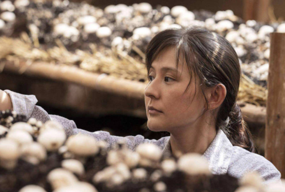 李沁组|陈晓新剧被传开机,和李沁组完美CP,能否掀起热度狂潮?