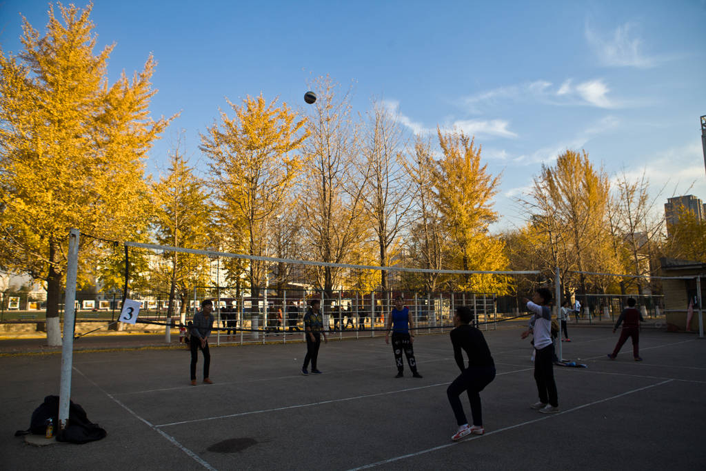 风景|辽宁大学其实非常美，很多人都忽略了这些景色，你想来看看吗