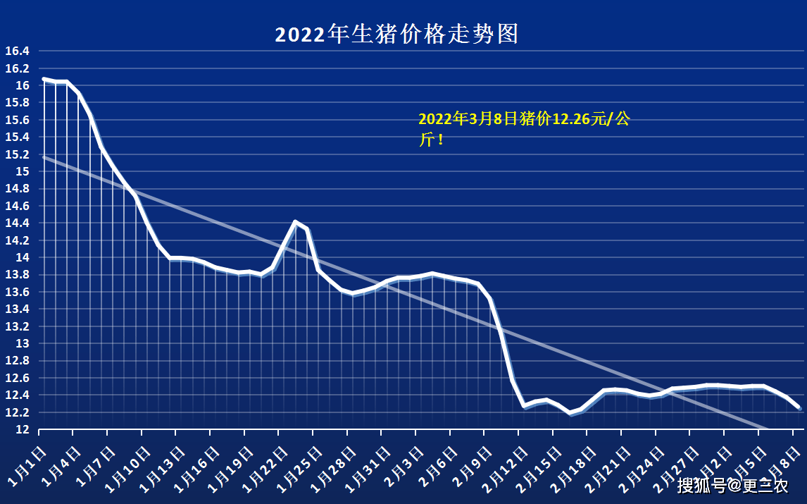 生豬_市場_屠宰場