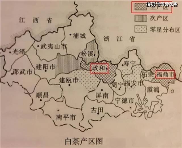 政和|福建白茶、政和白茶，你选哪个？