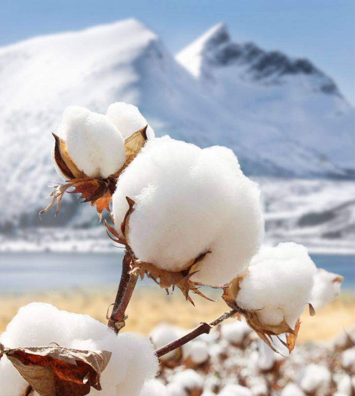 imbloo:不着凉不闷热,夏天就需要会呼吸的它!_棉花_被子_被窝