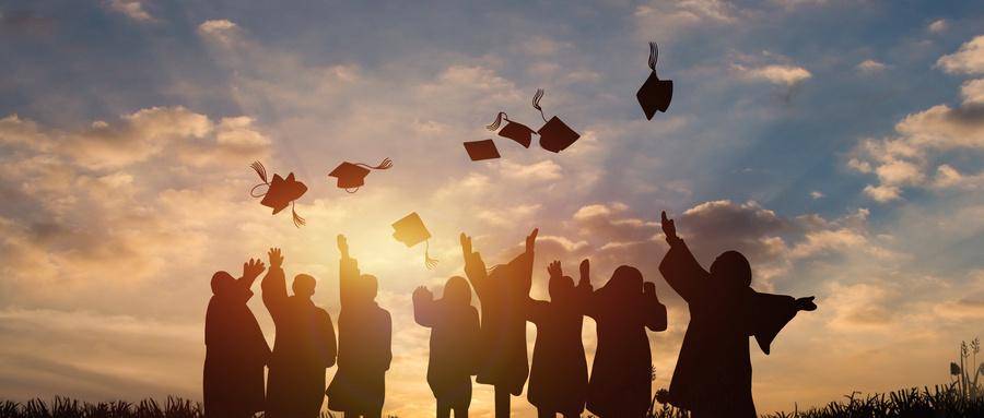 纸尿裤性价比排行_两市板块净流出排名(表)