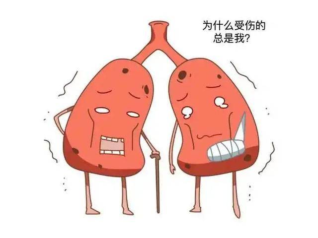 一图看懂,这些伤肾的药物_马兜铃_肾脏_胶囊