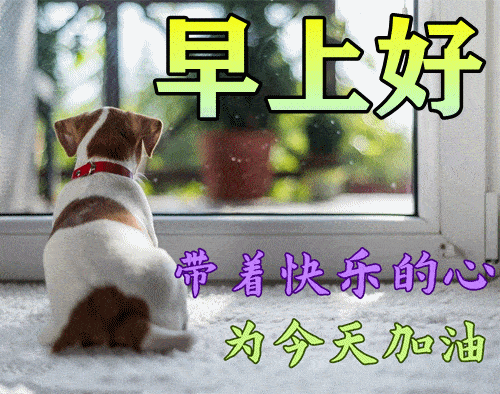 原创朋友圈阳光最美早上好短信祝福语最新版群发唯美早上好问候语祝福