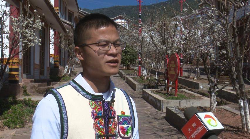 楚雄大姚彝族群众喜迎插花节农家小院插出5999朵马缨花