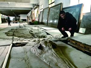三千件贵州古生物化石期待有个新家 | 探访贵阳金阳古生物化石博物馆