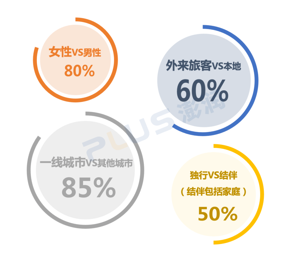 聚焦中国wellness客群金字塔模型