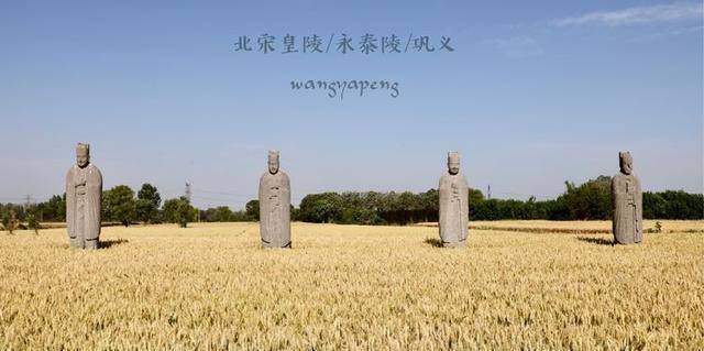 原创北宋最后的皇陵永泰陵如今竟彻底沦落为麦田