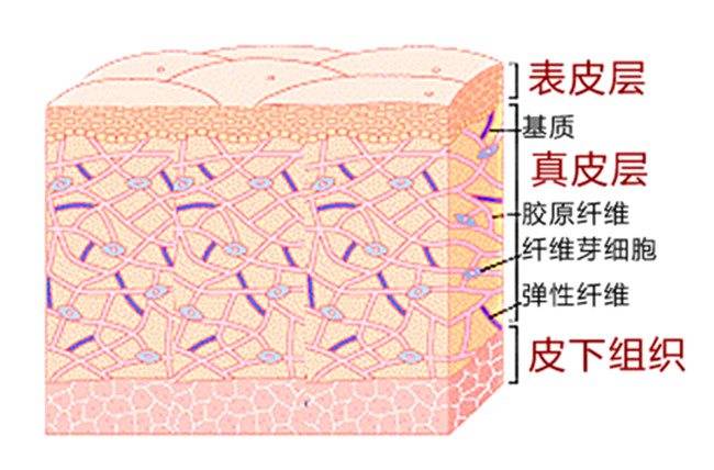 面部|所有女生注意！新抗衰好物分享——心辰玻尿酸是什么 真香定律告诉你