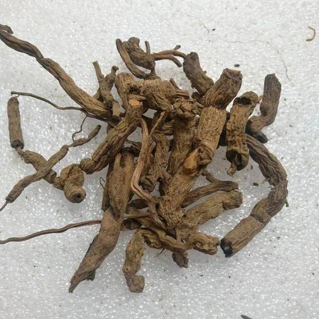 虎年,这些带"虎"的中药你可知晓_归经_又名_风湿