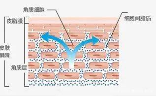 美国抗衰路上的“时光宝盒”——外泌体，作为医美人的你还不知道？