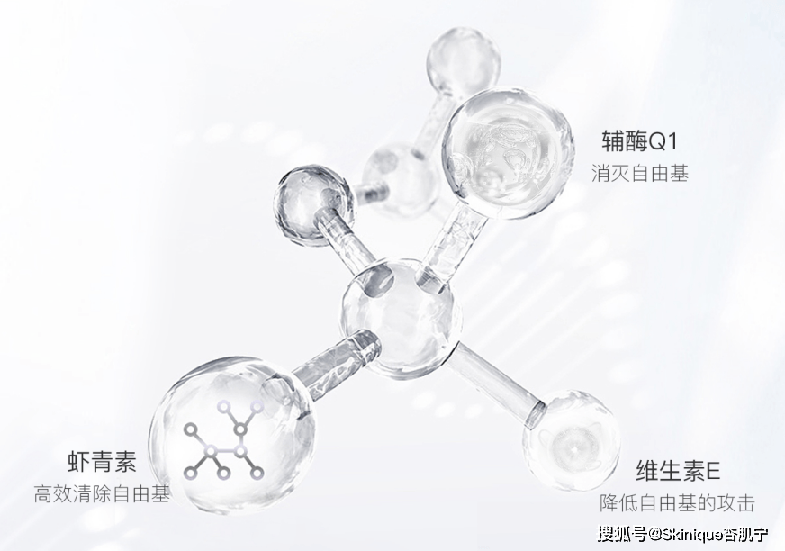 熊果苷【科普】什么是抗氧化？我们真了解吗？