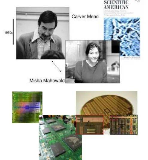 技术|类脑智能成下一代AI新宠，SynSense时识科技勇闯无人区，加速类脑芯片商用落地
