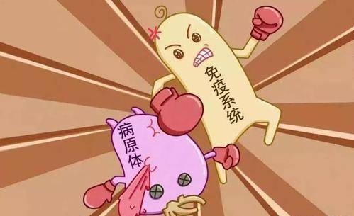 原创免疫力下降身体有哪些变化呢建议常吃4物或能为健康助力