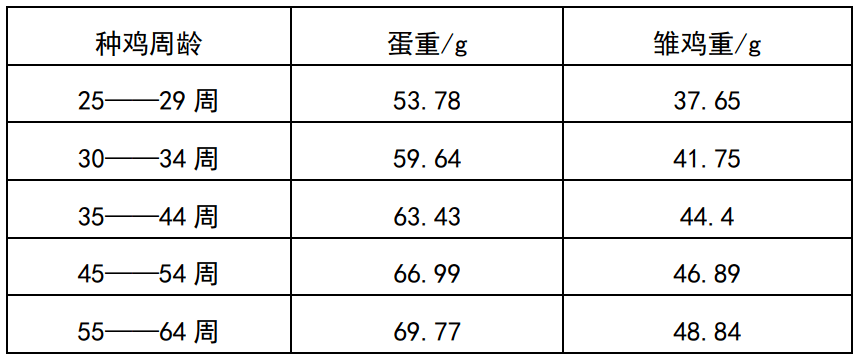 鸡苗体重的选择(6)腹部卵黄囊:观察脐部,雏鸡卵黄越大,感染细菌的概率