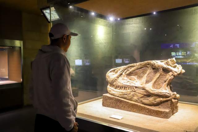 世界最好的十座恐龙博物馆，一座在四川，现在是自贡城市名片