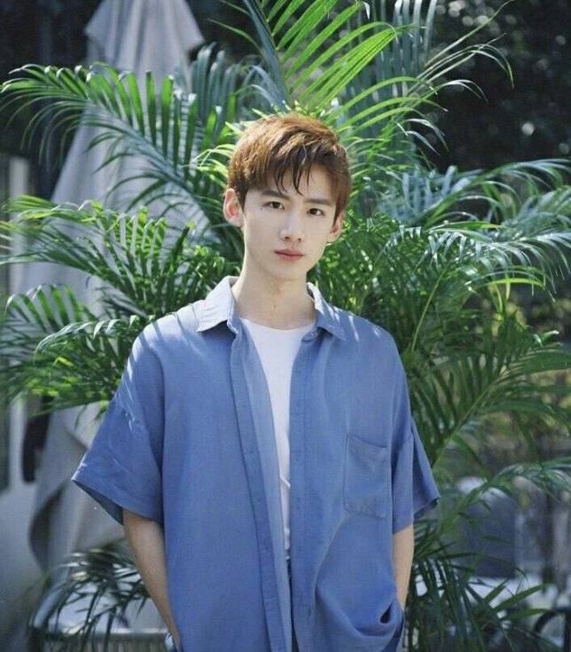 什么|白敬亭出演《八零九零》，凭一句话出圈，没想到你是这样的白敬亭！