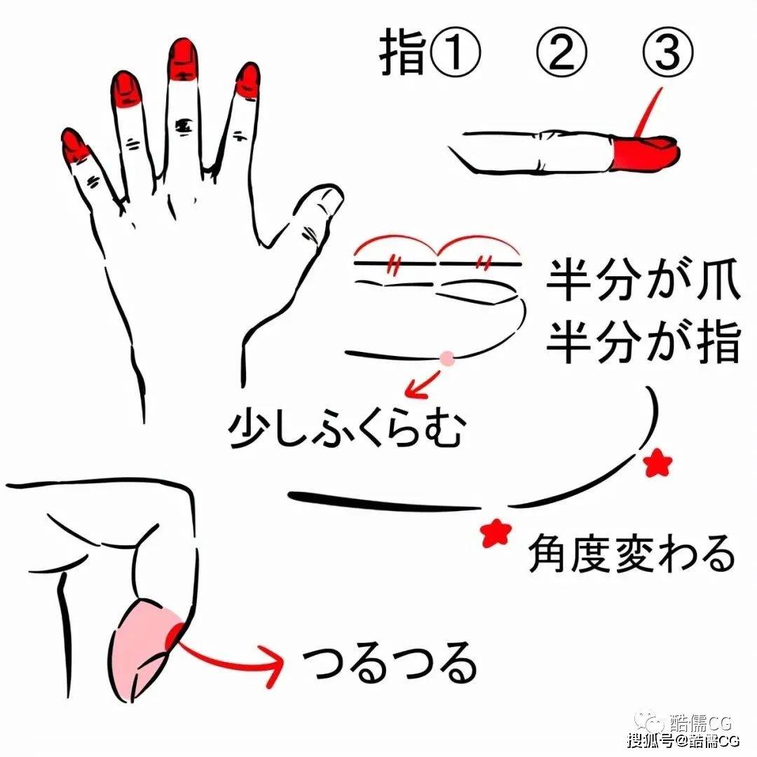 绘画教程丨手指和指甲的绘制技巧分享
