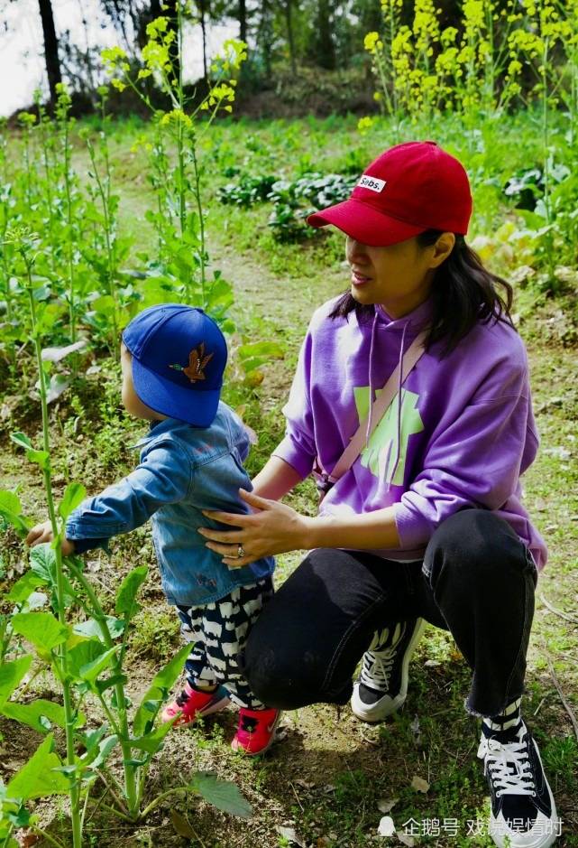 红帽子 朱丹带儿女挖野菜，身穿紫色卫衣红帽子打扮十分接地气