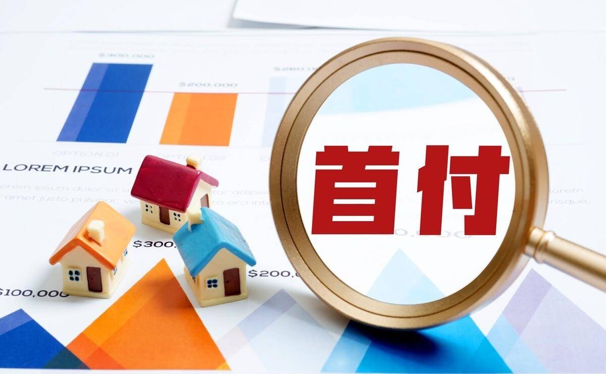 董藩:降低首付款比例,延长还款时间!可行吗?_房价_年轻人_城市