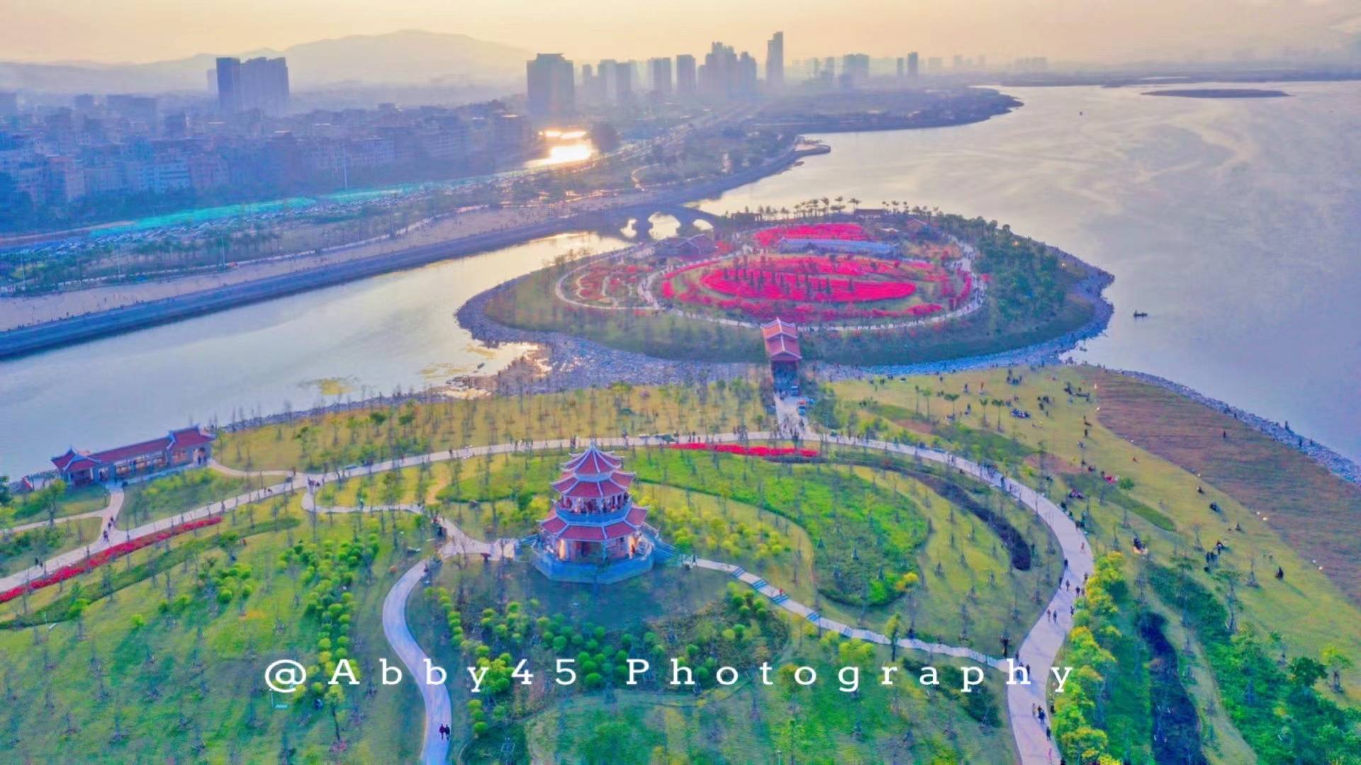 马銮湾|厦门春游又添好去处，有28个足球场大的免费公园，三角梅花开成海