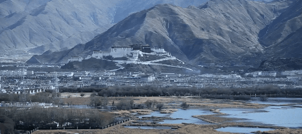 喜剧|中秋档14部影片速览，朱一龙《峰爆》大热，于谦喜剧有望黑马??