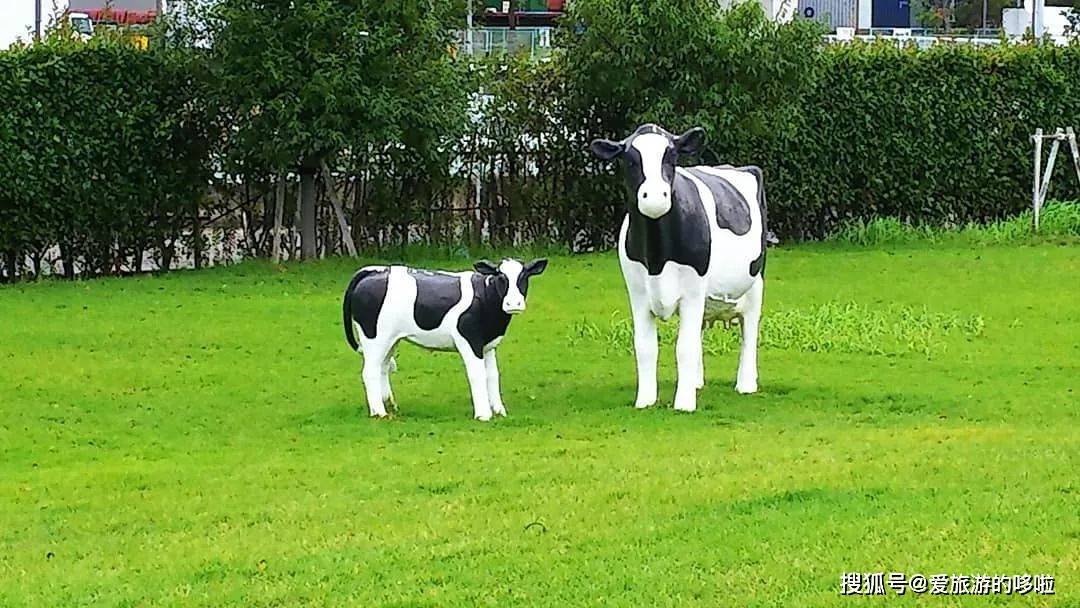 来日本玩只知道迪士尼就OUT了！这些免费参观的工厂等你来体验