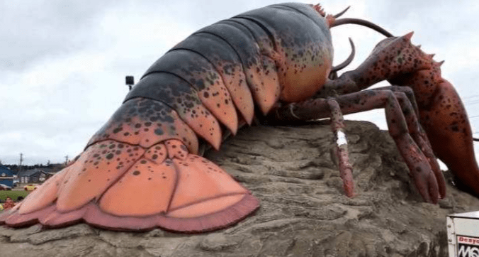 原创龙虾能被人工干预长成怪兽吗不会衰老不断变大不过依然会死亡