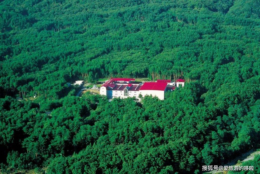 来日本玩只知道迪士尼就OUT了！这些免费参观的工厂等你来体验