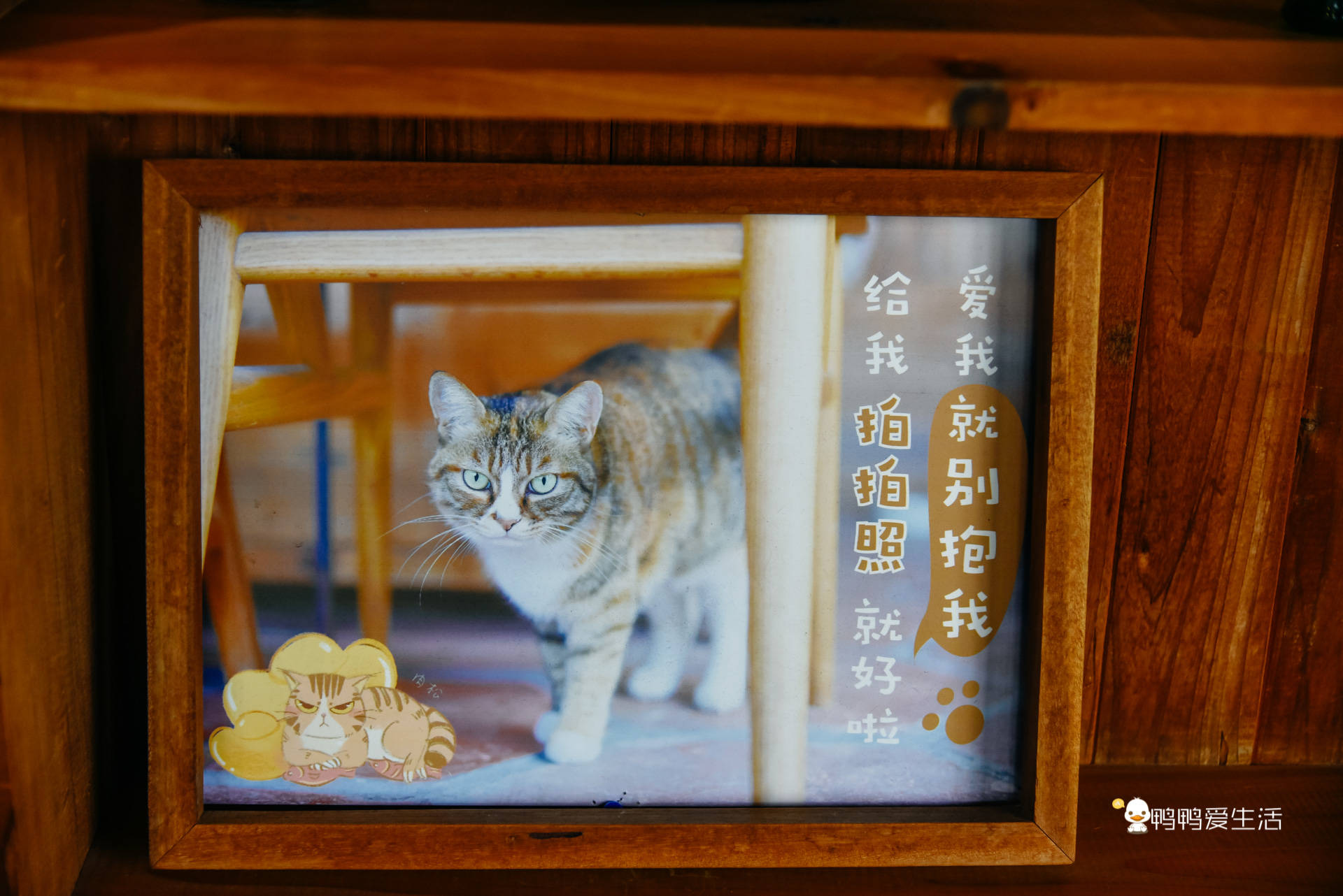 厦门|一层一世界，时光和回忆藏在厦门八市边上老百货里，古早味满满！