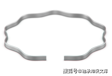 波形弹簧——斯迈利,你了解吗?_smalley_系列_碳素钢