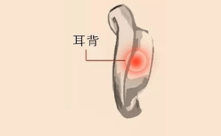 按摩手法:用食指,拇指拉耳屏,由内向外提拉,力度由轻到重,牵拉的力量