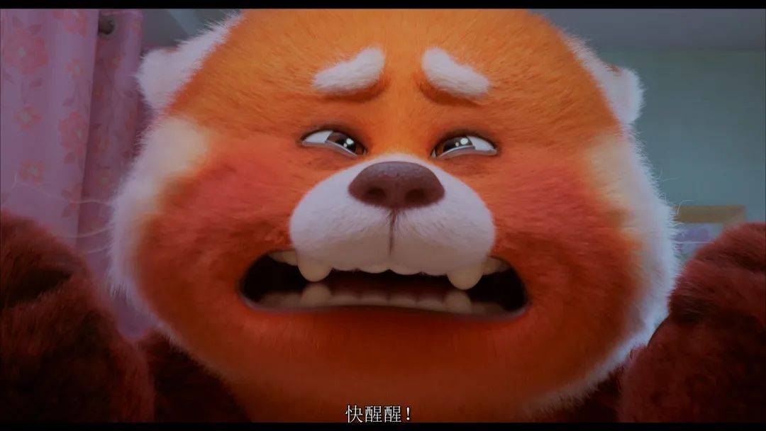 红熊猫动画片图片