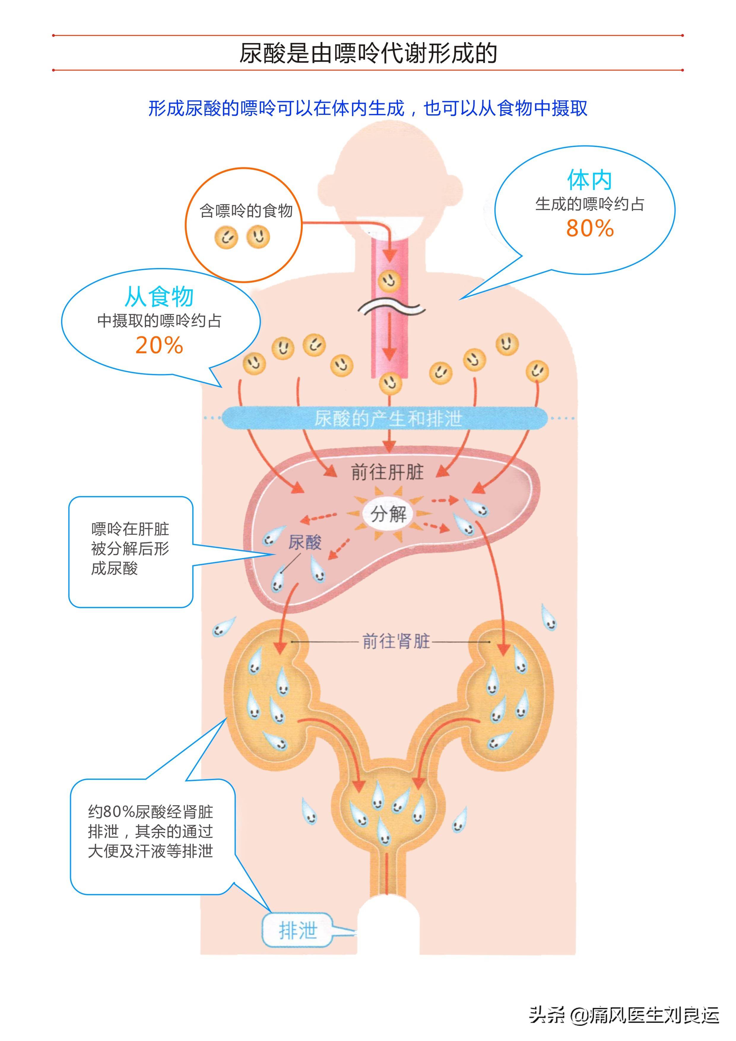 代谢卡通图片