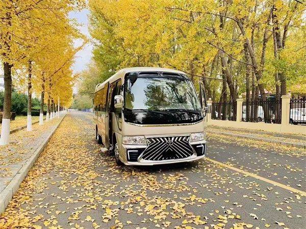 新款丰田考斯特公司接待可以乘坐11人 其中有5个埃尔法航空座椅 乐惠车