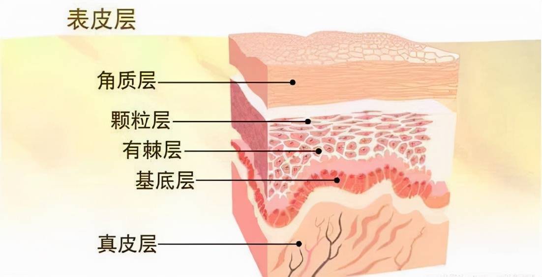 范围拉皮问答-1 小切口拉皮真的是“假拉皮”吗？