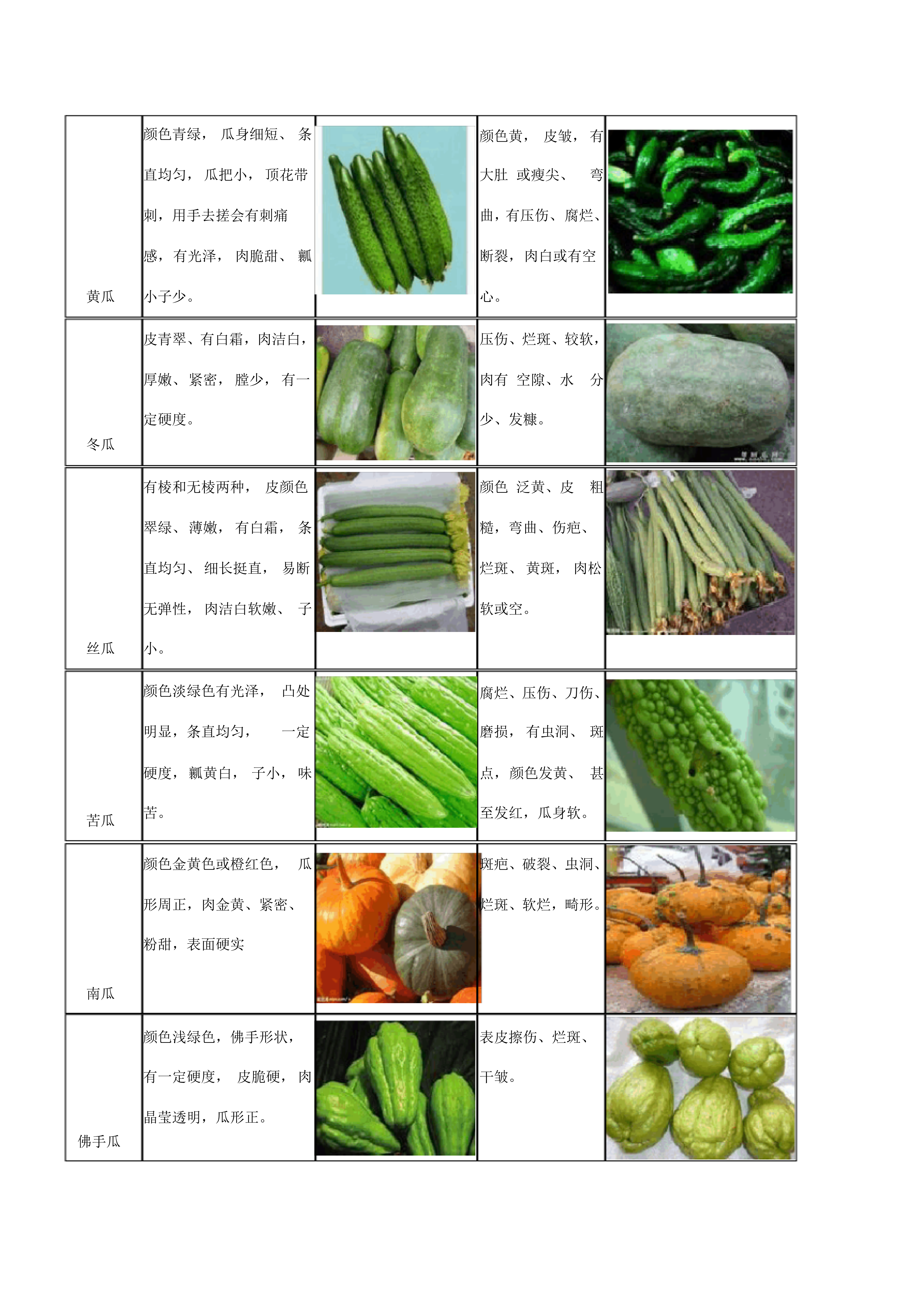 常见100种蔬菜图片名称图片