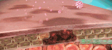 美容刷酸美容还能淡斑?“烂脸”警告!