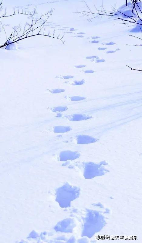 蔡晓|电视剧《人世间》与小说相比增添改动的几个细节