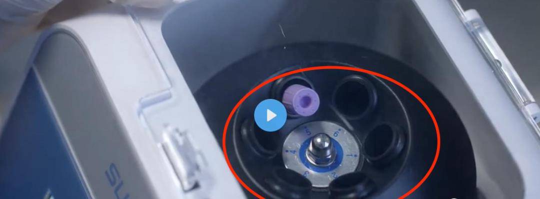 蒋歌|靠画画就能破案,他真有这么神?