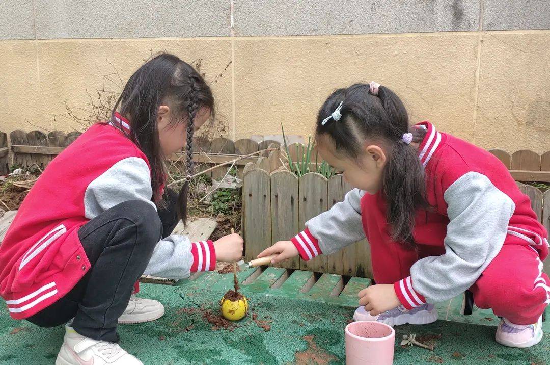 園外園朝陽園芳草園擁抱春天播種綠色主題活動