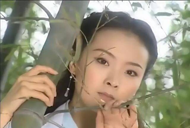 才是真|不要你觉得我要我觉得,黄晓明演17年前这部剧,才是真的颜值巅峰