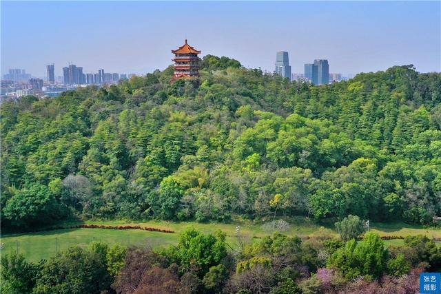 云山|广州麓湖有座五层楼宇，堪比武汉黄鹤楼，360度欣赏广州绝佳全景