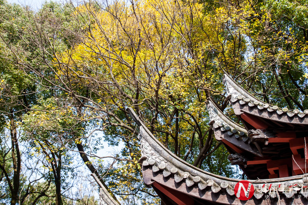 中西|藏在宁波闹市区的古建筑，1200年历史保存完好，如今成为商业街