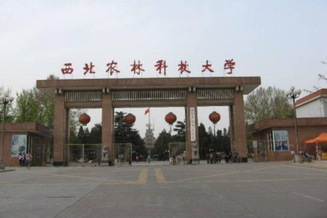 就比如西北农林科技大学坐落于陕西杨凌示范区,西北地区同学们会有