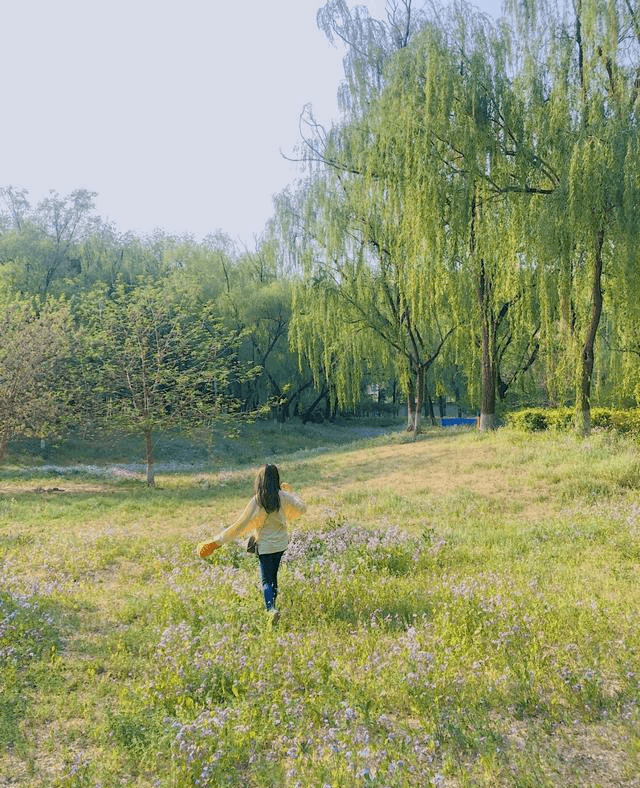 塑造出 春季穿搭要一件衬衫都可百搭！既能映衬干练大气，还能打造出美感