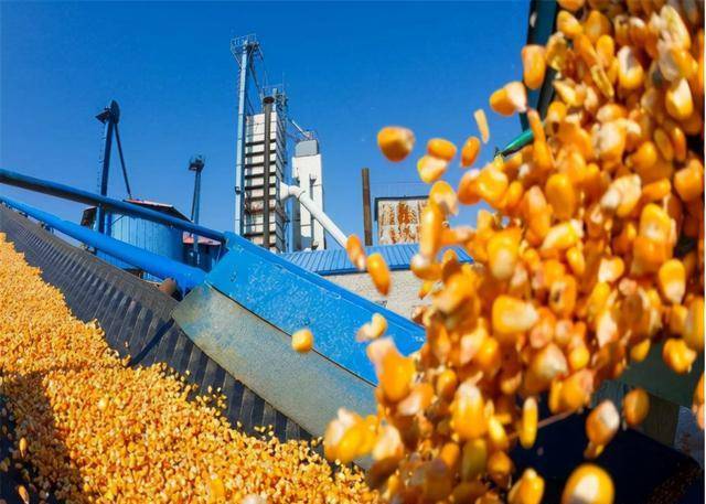 养殖业|3月15日,鸡蛋、牛、羊价格突变,猪价风险来了,养殖业发生了啥