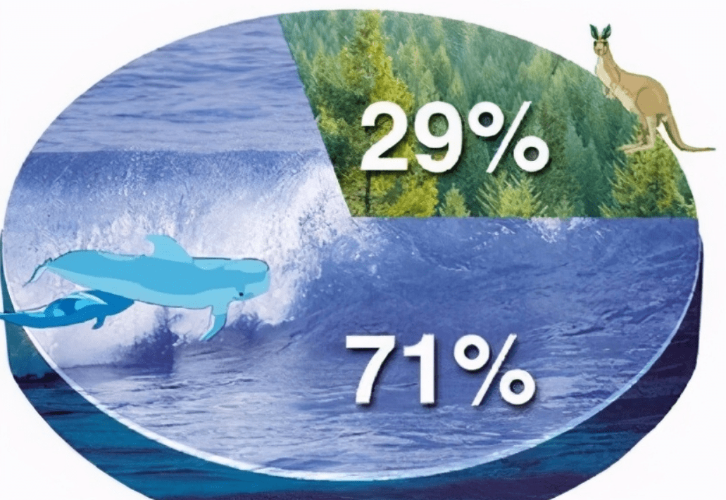 海洋面积占地球的71%海洋面积占据地球的71%,可是人类目前对它的探索