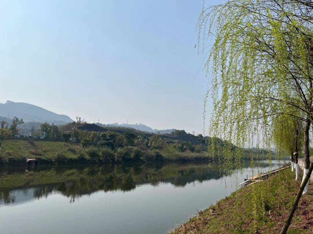 瀘縣房價怎麼樣眾城溪山宸院瀨溪河公園春日醉美盛景你打卡了嗎