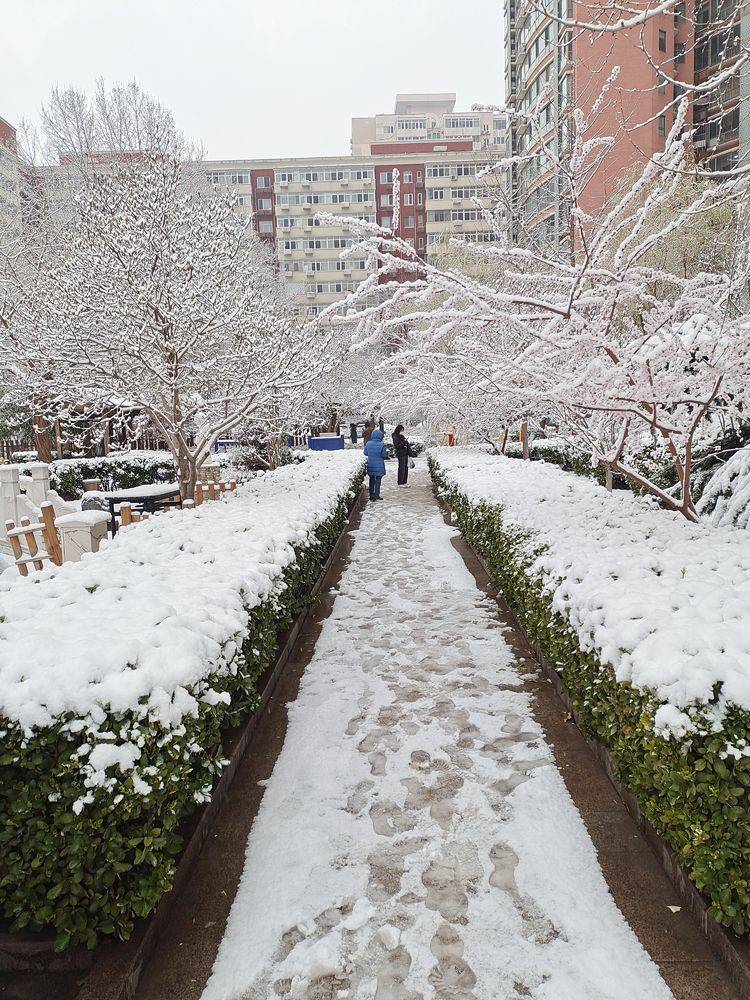 下集|一场雪，让这里的春天真美